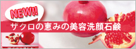 �U�N���Ό�[�X�L���P�A�[]