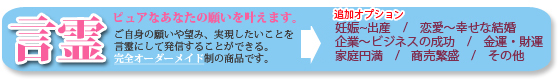���S�X�g�����@����l�b�N���X[�A���m�V�Y�N]